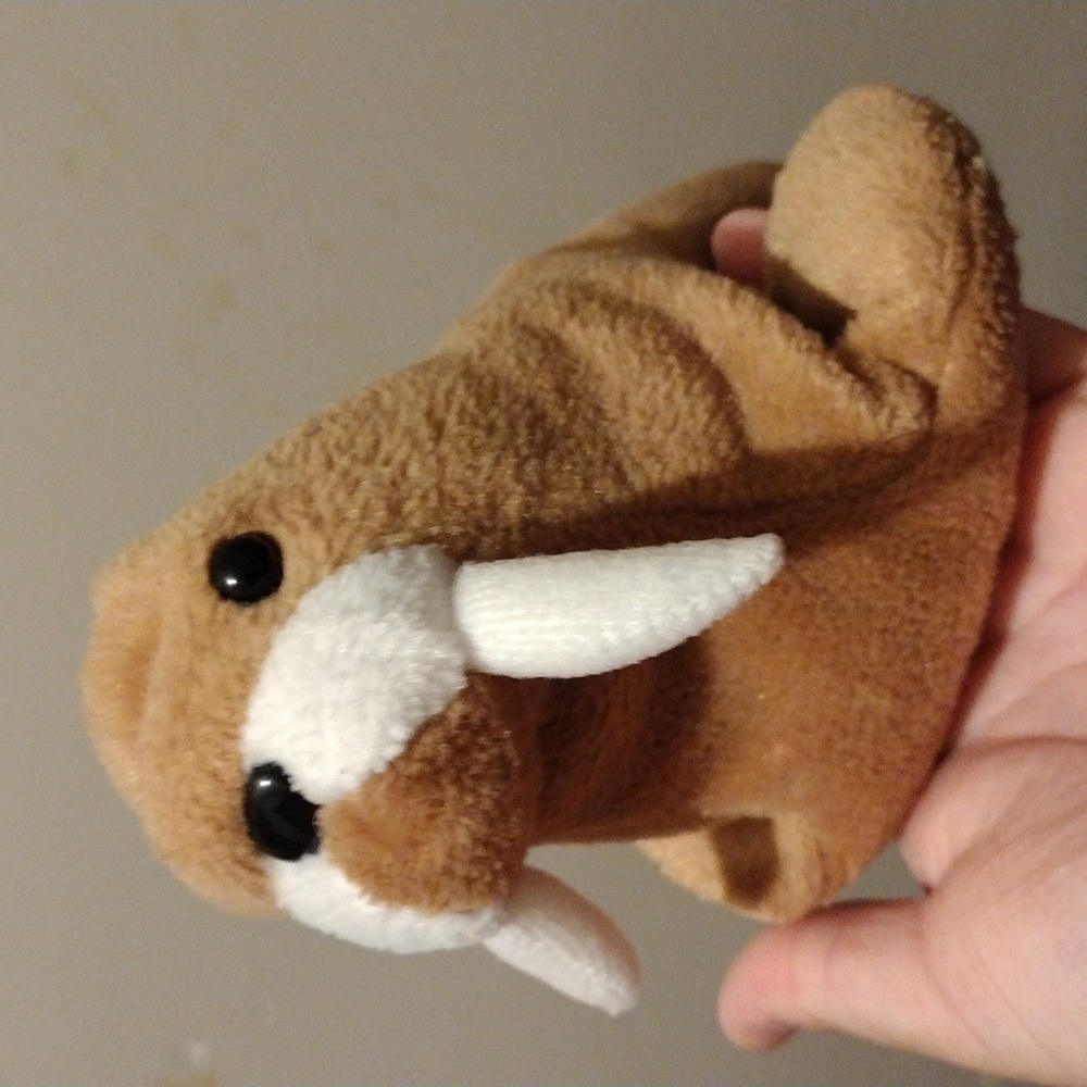Walrus Beanie Baby